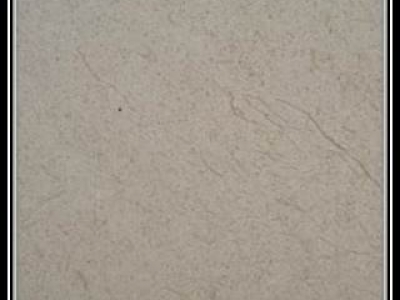 The White House beige