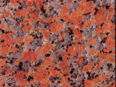 Red maple leaves