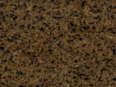 Tropic brown