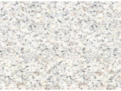 Shandong White Pearl-B