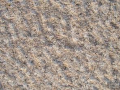 Pineapple surface